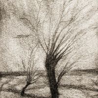 "Bäume am Feld", Kaltnadelradierung, Druck auf Büttenpapier, 22,4 x 17,5 cm, 2/10, 2021