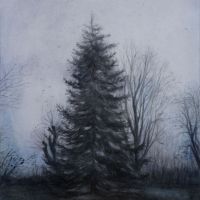 "Tanne im Nebel", Aquarell und Bleistift auf Papier, 29,7 x 21 cm, 2023