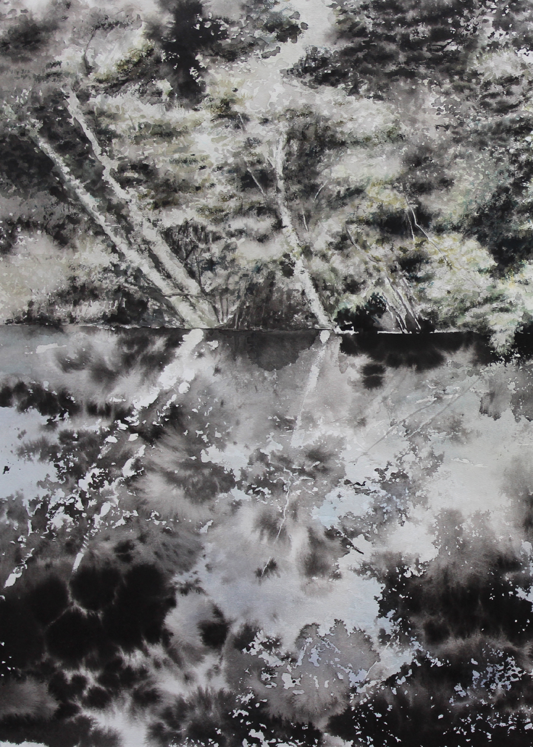 Black Mirrow, Ausschnitt, 2017, Tusche, 70x100 cm.jpg